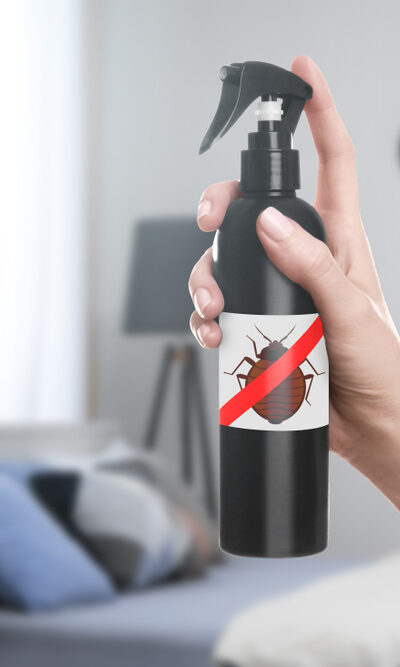 Essential Factors That Determine The Cost Of Bed Bug Extermination