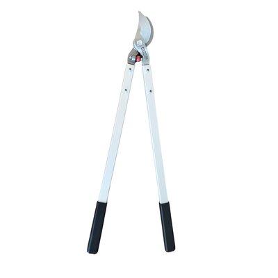 Zenport Vine & Tree Lopper Gardening Tools, Steel in White | 0.75 H x 13.75 W x 36.5 D in | Wayfair MV26