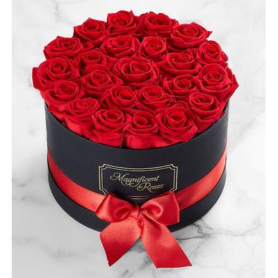 1-800-Flowers Flower Delivery Magnificent Roses Preserved Red Roses Two Dozen