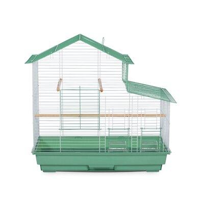 Tucker Murphy Pet™ Cinta 25" Steel Pointed Table Top Bird Cage w/ Perch Steel in Green | 25 H x 14 W x 26 D in | Wayfair