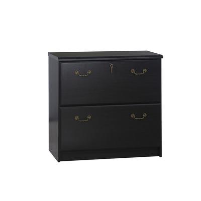 2 Drawer Lateral Filing Cabinets File Cabinet by Saint Birch in Espresso