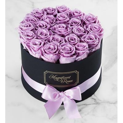 1-800-Flowers Flower Delivery Magnificent Roses Preserved Lavender Roses Two Dozen