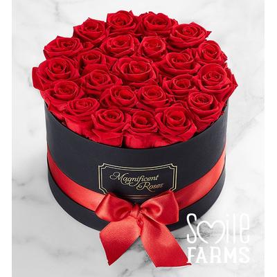 1-800-Flowers Flower Delivery Magnificent Roses Preserved Red Roses Two Dozen