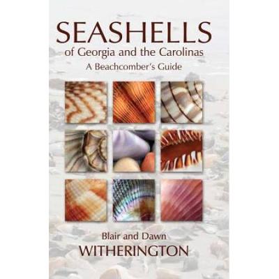 Seashells Of Georgia And The Carolinas: A Beachcomber's Guide