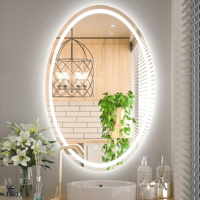 Orren Ellis Adorna Oval Frontlit & Backlit LED Bathroom Vanity Mirror AntiFog Dimmable Wall Mirror in White | 24 H x 36 W x 5 D in | Wayfair