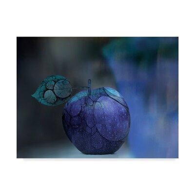 Trademark Fine Art 'Blue Apple' Graphic Art Print on Wrapped Canvas in White/Black | 35 H x 47 W x 2 D in | Wayfair 1X05493-C3547GG