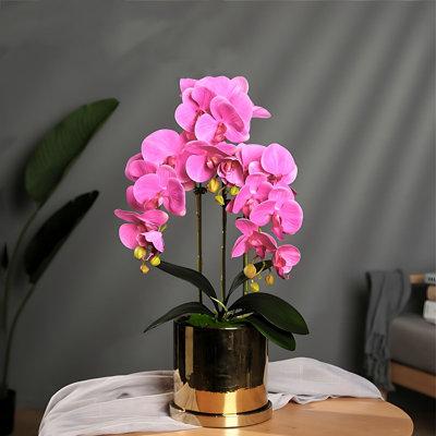 Padise Epoch Orchid Arrangement in Pink/Indigo | 22.05 H x 7.87 W x 7.87 D in | Wayfair PadiseEpoch536439d