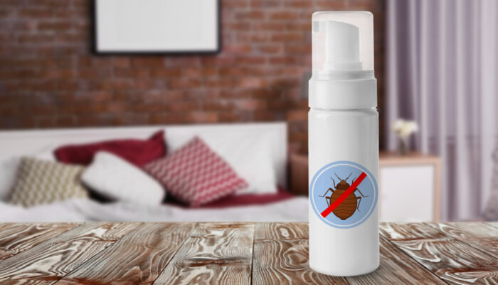 Everything You Need To Know About Bed Bug Extermination