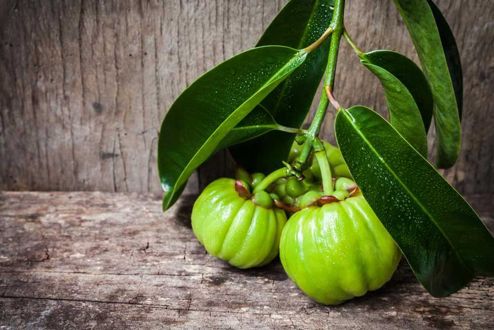 Getting a Closer Look at the Garcinia Cambogia Side Effects