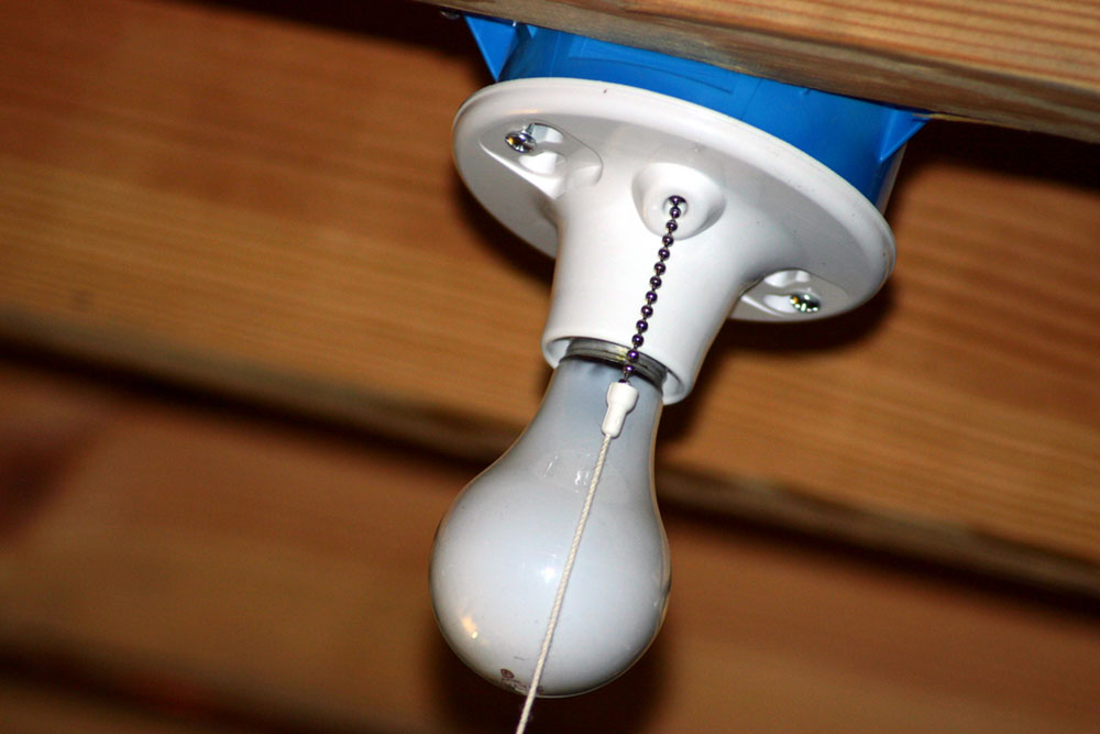 Light bulbs to lighten up the house