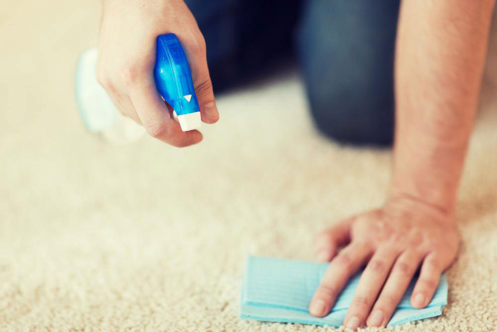 Some vital facts about carpets you should know