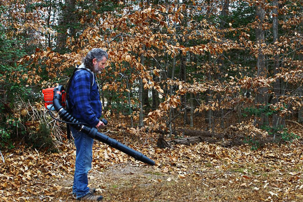 3 popular leaf blowers to clean up your yard with ease
