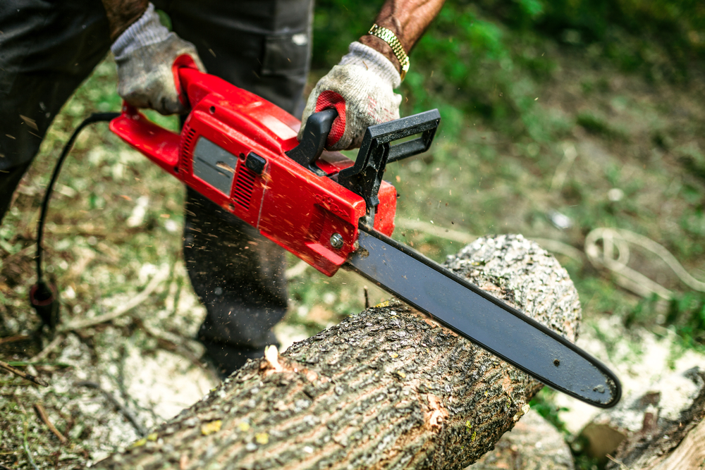 5 Best Chainsaw Brands You Should Buy