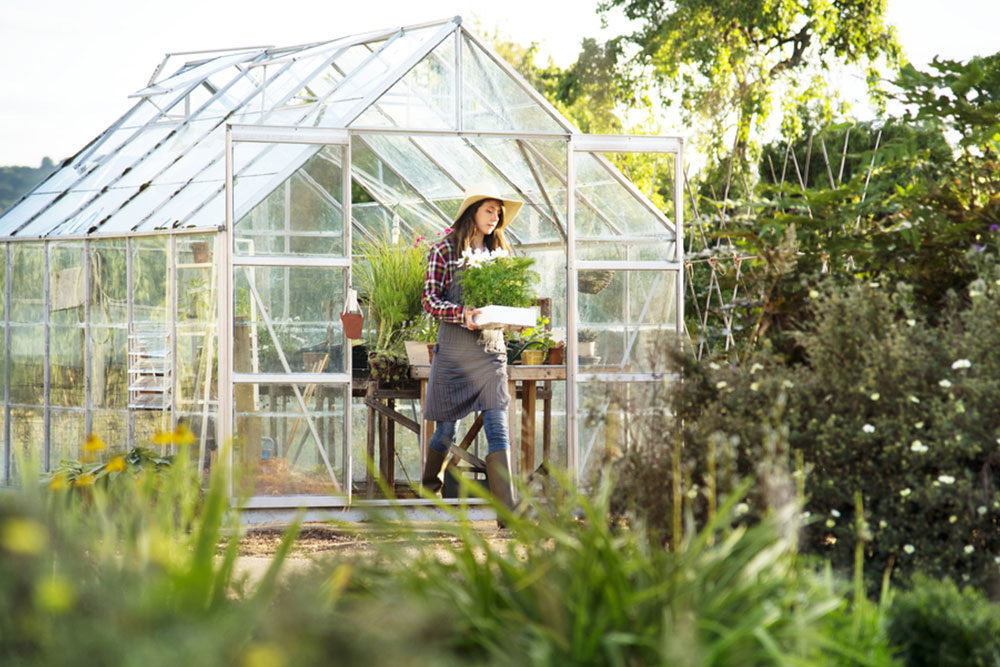 7 tips for the beginner greenhouse gardener