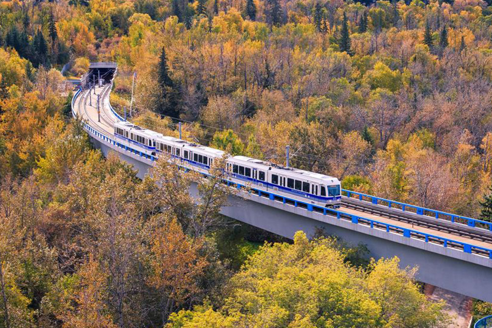 How to choose the best train tour for Canadian Rockies