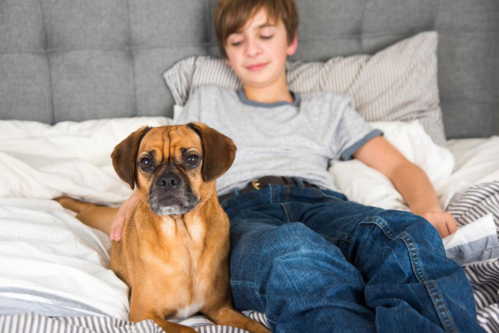 Things you need to know before adopting a dog
