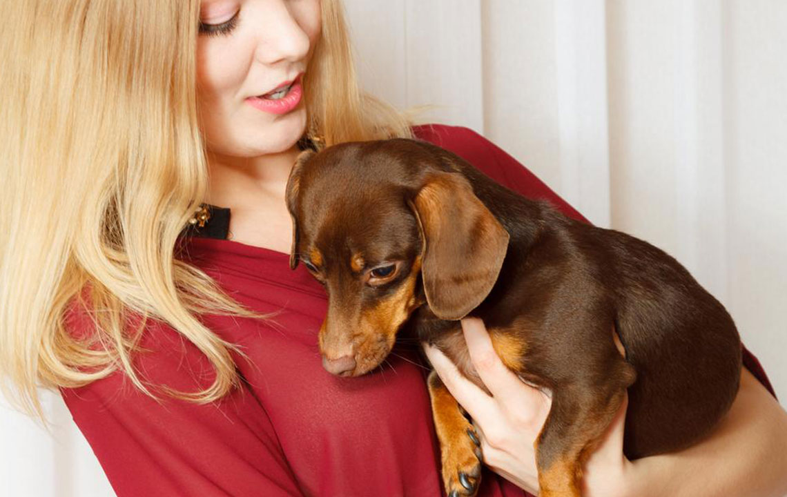 5 dog breeds perfect for first-time pet parents