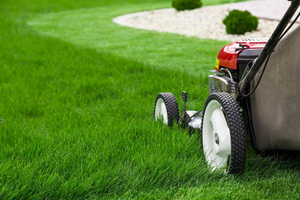 Here&#8217;s how you can choose the best lawn edger