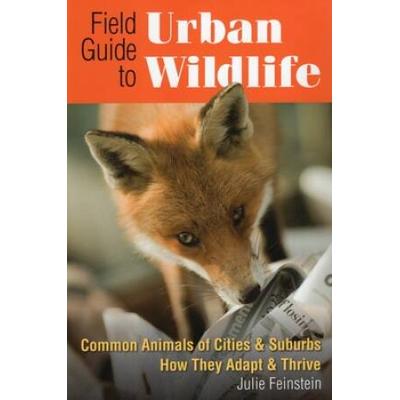 Field Guide To Urban Wildlife: Common Animals Of Cities & Suburbs How They Adapt & Thrive