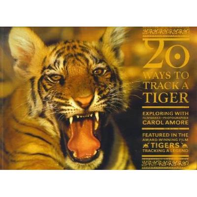 20 Ways To Track A Tiger