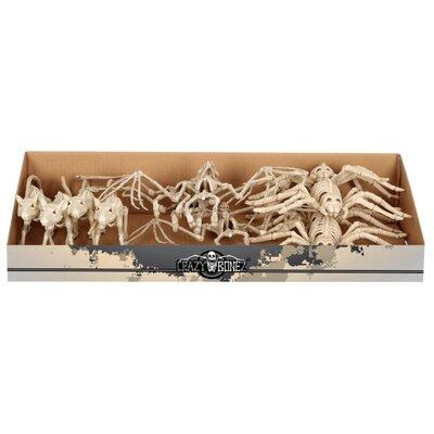 The Holiday Aisle® Assortment of Animal Skeletons Halloween Decorative Accent Resin/Plastic/ in White, Size 6.0 H x 22.0 W x 10.0 D in | Wayfair