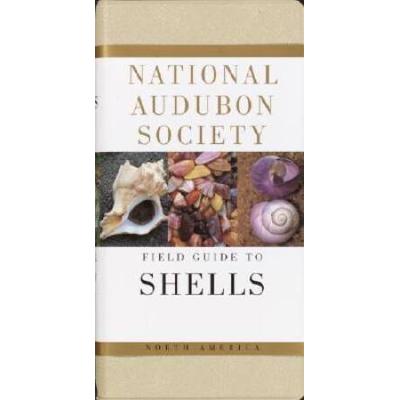 National Audubon Society Field Guide To North American Seashells