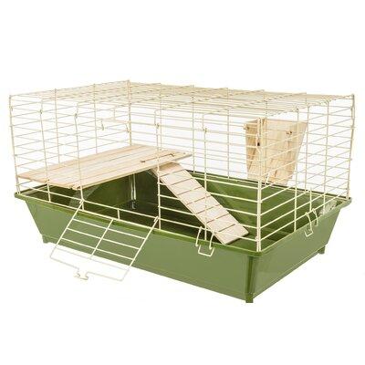 Tucker Murphy Pet™ Chapmon Naturals Guinea Pig Cage Metal (provides the best ventilation)/Acrylic/Plastic (lightweight & chew-proof) | Wayfair