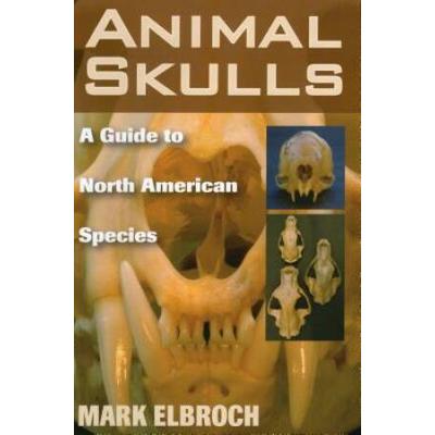 Animal Skulls: A Guide To North American Species