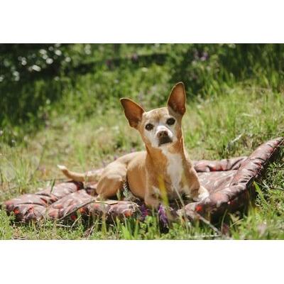 Tucker Murphy Pet™ Maxey Outdoor Chill Dog Pad Polyester/Synthetic Material in Brown | 1.57 H x 24 W x 18 D in | Wayfair