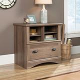 August Grove® Bredevoort 1-Drawer Lateral Filing Cabinet Wood in Brown, Size 31.0 H x 32.0 W x 21.12 D in | Wayfair