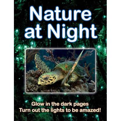 Nature At Night