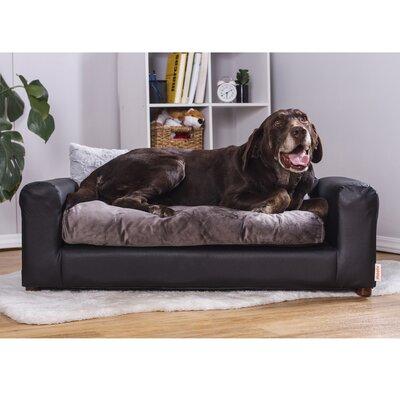 Tucker Murphy Pet™ Kayenta Premium Dog Sofa Metal in Black, Size 13.0 H x 40.0 W x 23.0 D in | Wayfair C519DD9820684EABA0E07EDA243F666F