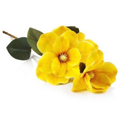 Primrue Magnolia Stem Natural Fibers in Yellow | 18 H x 8 W x 8 D in | Wayfair 5D0B1823AD624C0AA36D03F4B47B9825
