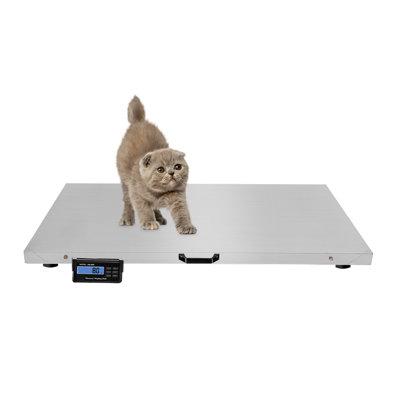 SUNYOU Physician Scale, Stainless Steel | 1.7 H x 20.5 W x 40.9 D in | Wayfair Y1280