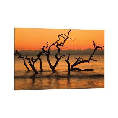 East Urban Home USA, Jekyll Island, Georgia. Driftwood Beach at Sunrise by Joanne Wells - Wrapped Canvas Photograph Canvas | Wayfair