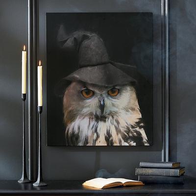 Witch Hat Owl Canvas - Grandin Road