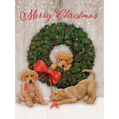 The Holiday Aisle® Wonder & Joy Boxed Christmas Card | 1.5 H x 5.9 W x 7.64 D in | Wayfair 0CBF9B99CA8F407FA4CCF96FDE301E0C