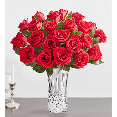 1-800-Flowers Flower Delivery Two Dozen Red Roses W/ Luxury Posh Vase W/ Posh Vase | Perfect Gift For Any Occasion