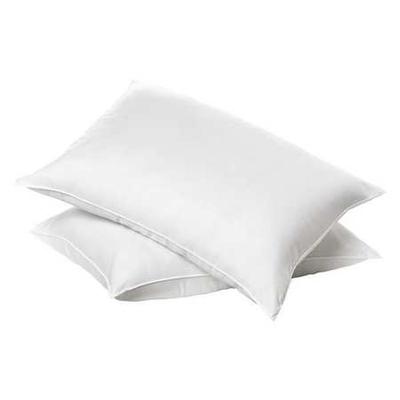 BASICS 5013812 Pillow,26 in. L,Standard,20 oz.,PK12