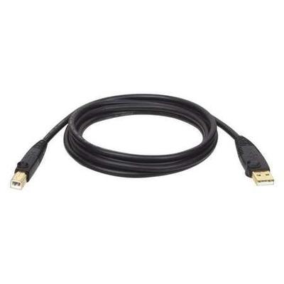 TRIPP LITE U022-010 USB 2.0 Cable,Hi-Speed A/B,M/M,10ft