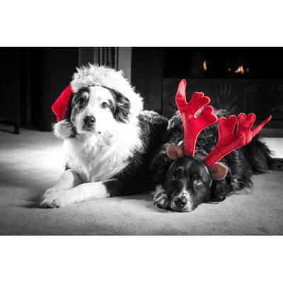 The Holiday Aisle® Christmas Card Dogs by Goldyrocks - Wrapped Canvas Photograph Canvas | 12 H x 18 W x 1.25 D in | Wayfair
