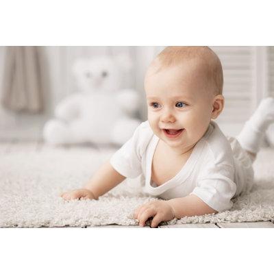Latitude Run® 10 Baby Bibs Cotton | 1 H x 6 W in | Wayfair C06F9CDA2A164C9BB937BBC4DBD1ADAC