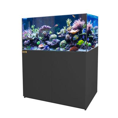 AQUA DREAM 63 Gallon Coral Reef Aquarium Tank w/ Ultra Clear & Built In Sump All (cost efficient & easy to clean) in Black | Wayfair REEF-1200-BK