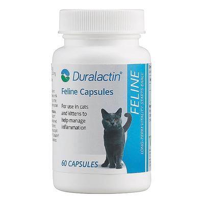 Advantage II Pet First Aid Supplies & Kits - Duralactin Cat Cap - Set of 60