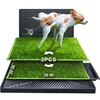 Hompet Dog Litter Box, 2 Pcs Artificial Grass Training Pads w/ Pee Baffle, Medium Polyester in Black | 2.7 H x 29.9 W x 20 D in | Wayfair