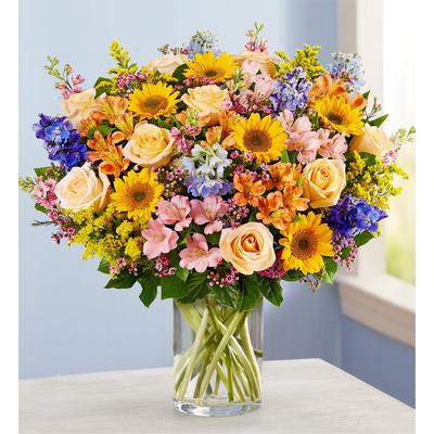 1-800-Flowers Seasonal Gift Delivery Spring Sensation Large