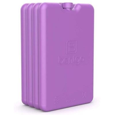 Bentgo Freezer Pack Cooler, Purple in Indigo | 6.5 H x 4.25 W x 0.3 D in | Wayfair BGOICE-P