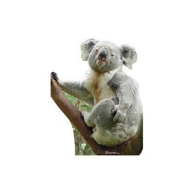 Advanced Graphics Animals Koala Bear Cardboard Stand-Up | 24 H x 19 W in | Wayfair #55
