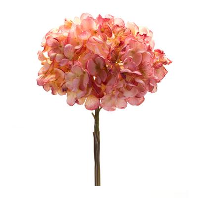 Hydrangea Flower Stem (Set Of 6) by Melrose in Pink