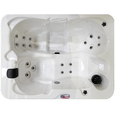 American Spas 110 Volt Rectangle Hot Tub/Cold Plunge Combination Hot Tub in Acrylic in White | 29.5 H x 69 W x 49 D in | Wayfair AM518L